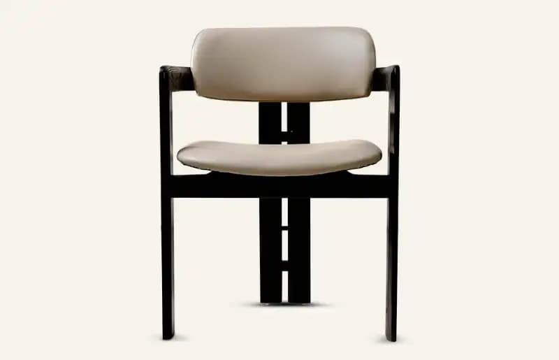 HC30 Armrest dining chair Back